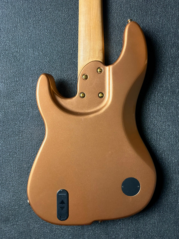 DS Series Bass
