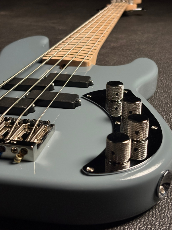 DS Series Bass