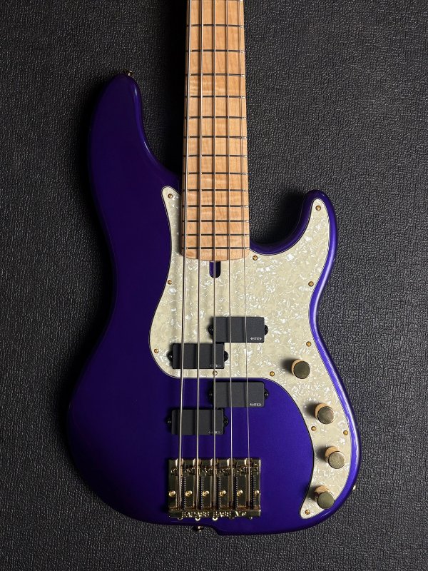 DS Series Bass