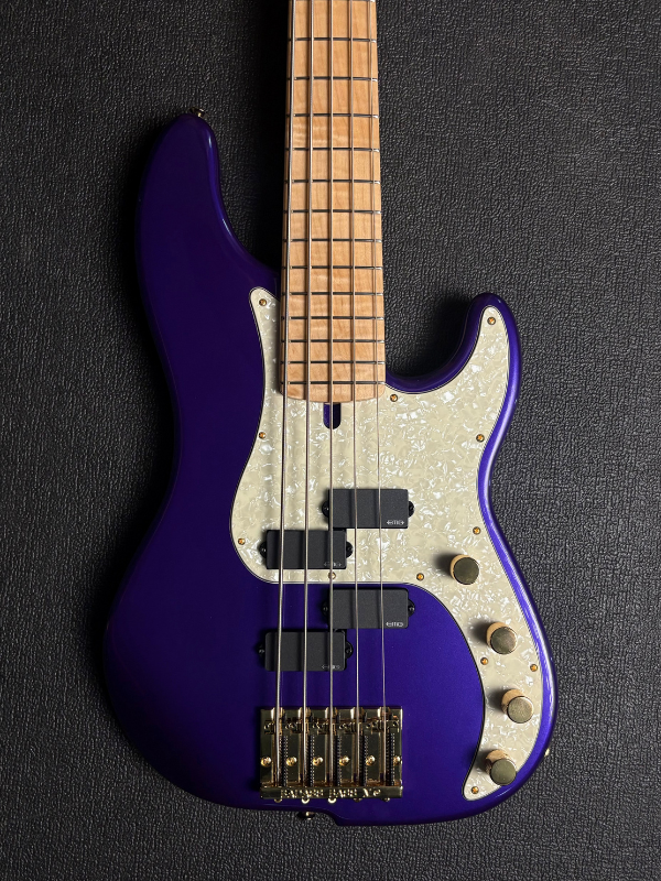 DS Series Bass