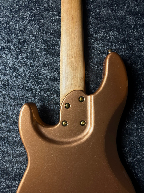 DS Series Bass