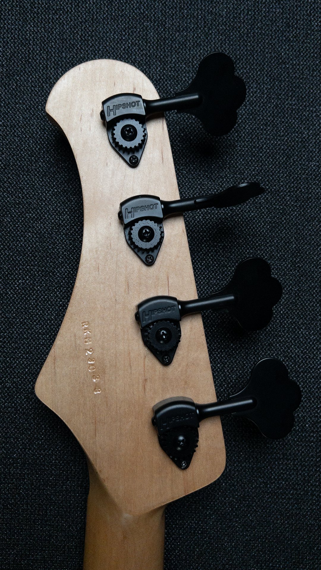 Sharon Bass 2