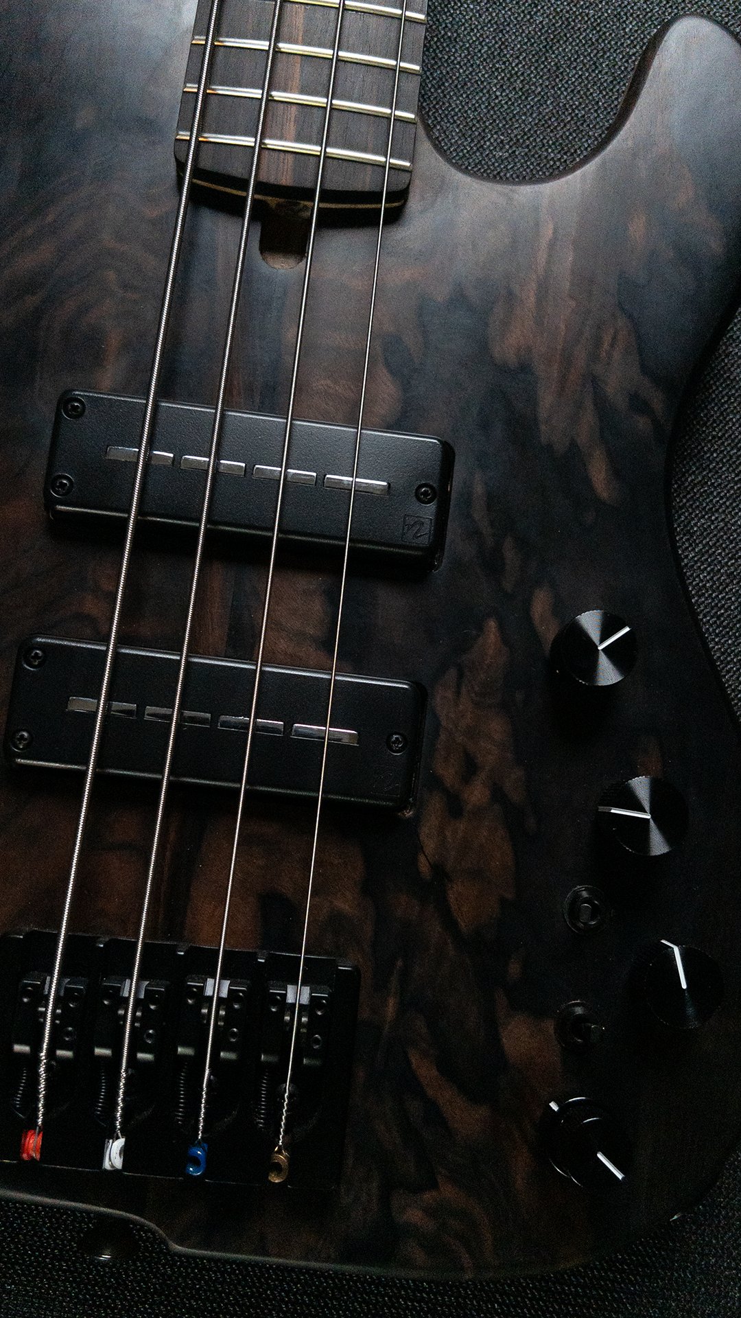 Sharon Bass 2