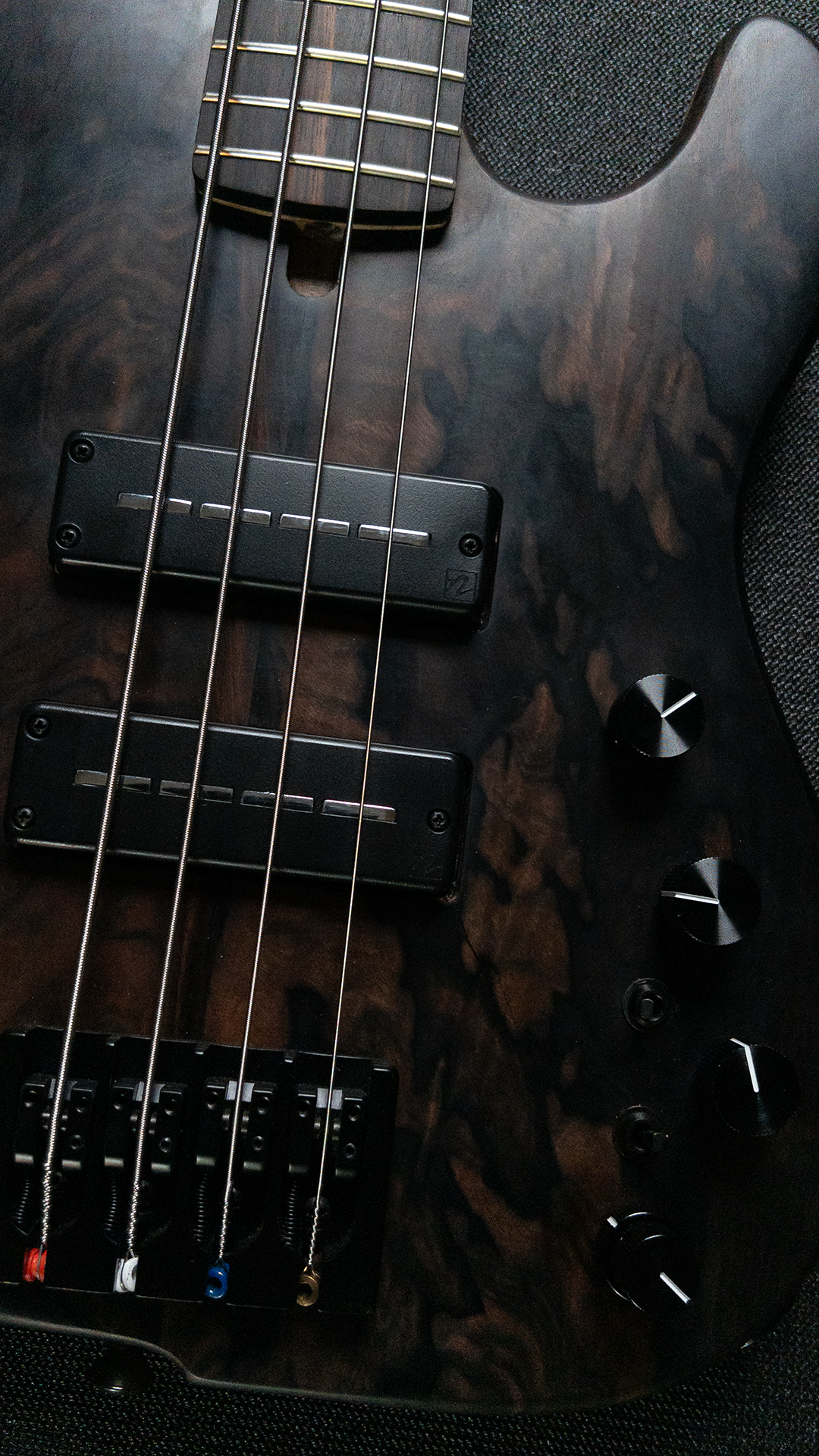 Sharon Bass 2