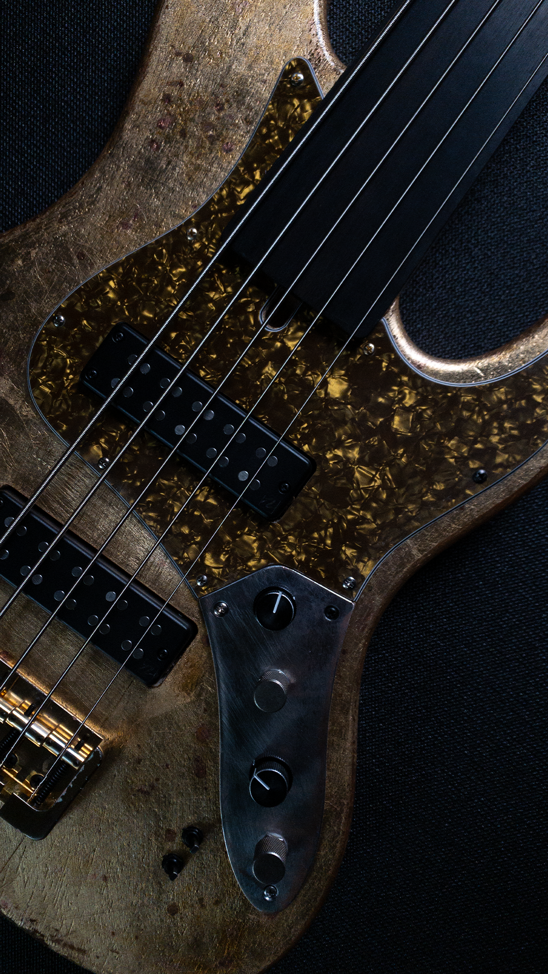 Sharon Bass 1