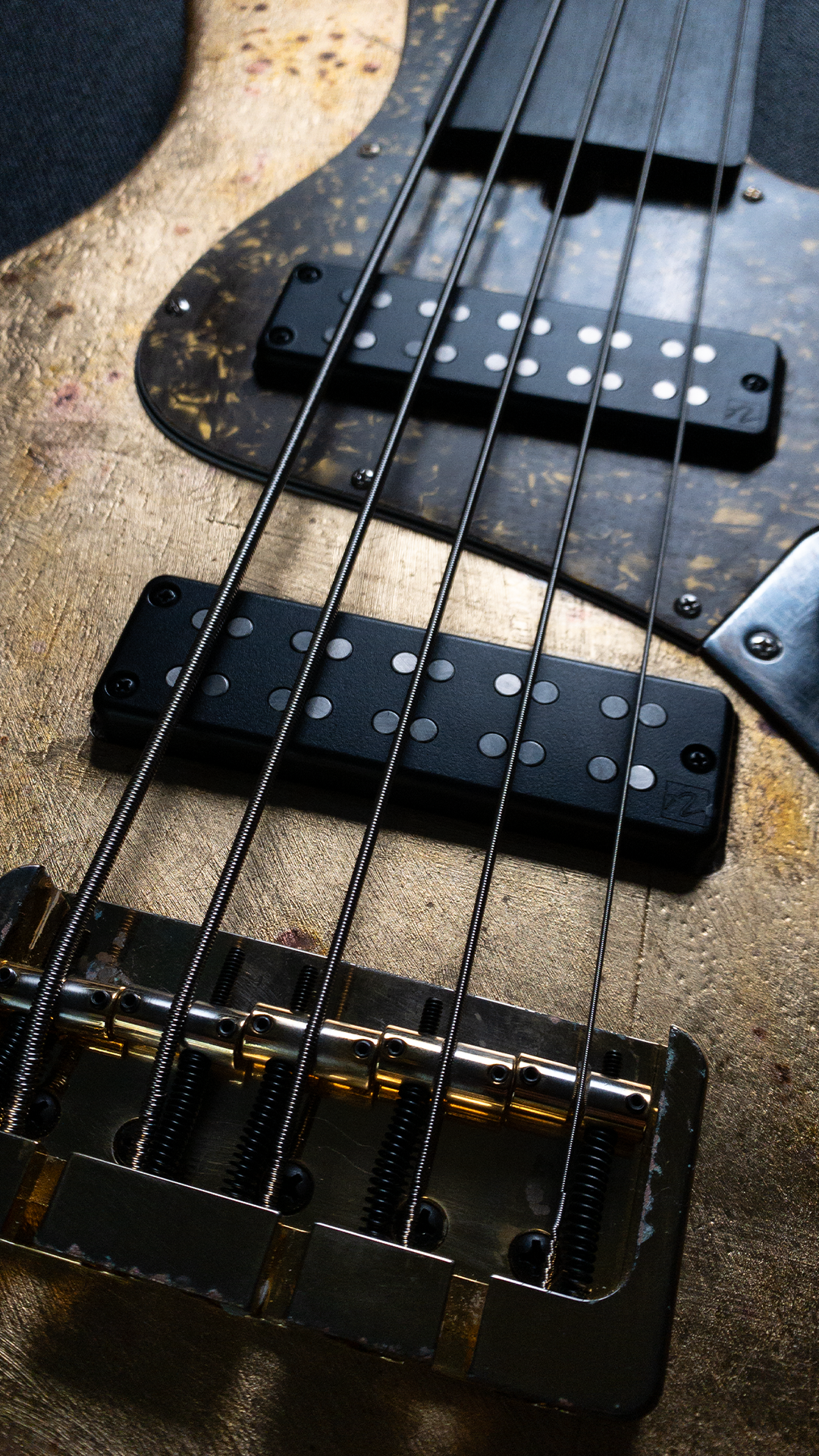 Sharon Bass 1